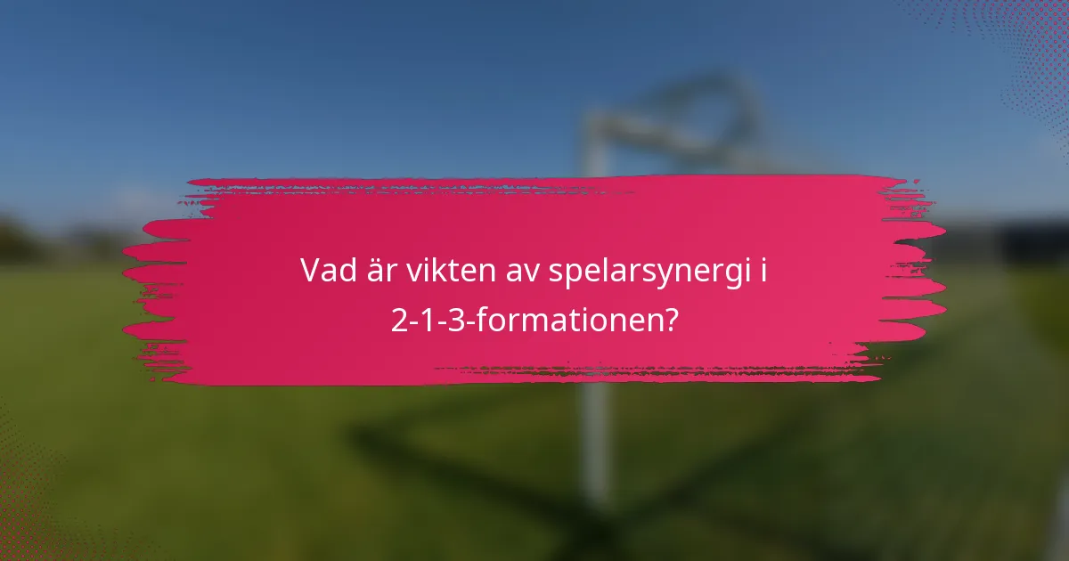 Vad är vikten av spelarsynergi i 2-1-3-formationen?
